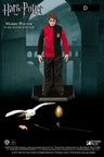 Real Master Series - Harry Potter Triwizard Tournament Ver. 1/8 Action Figure D Type