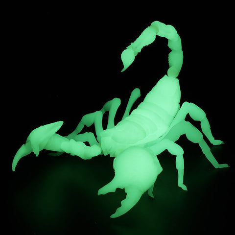 REVOGEO RG003 - Revoltech - Pandinus Imperator (Emperor Scorpion) - Luminous Version (Kaiyodo)
