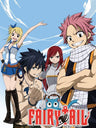 Fairy Tail Vol.4
