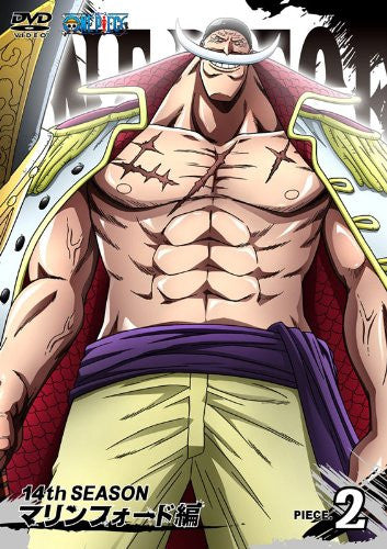 One Piece 14th Season Marin Ford Hen Piece.2 - Solaris Japan