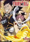 Fairy Tail Vol.6