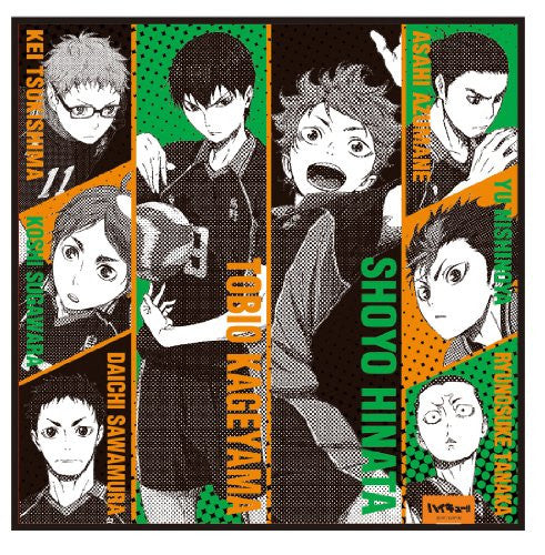 Haikyuu!!, Haikyuu, Hinata Shouyou, Kageyama Tobio, anime