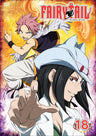 Fairy Tail Vol.18