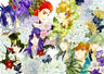 Harukanaru Toki no Naka De Ultimate - Treasure Box - Amazon Limited