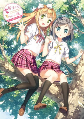 The Hentai Prince And The Stony Cat Kantoku Art Works