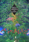 Seiken Densetsu 4 / Dawn Of Mana Official Design Material Collection