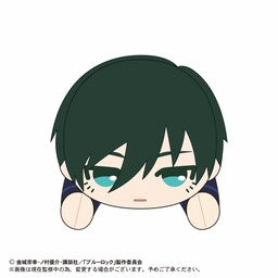 Blue Lock - Itoshi Rin - Nuigurumi Tissue Cover (Max Limited)