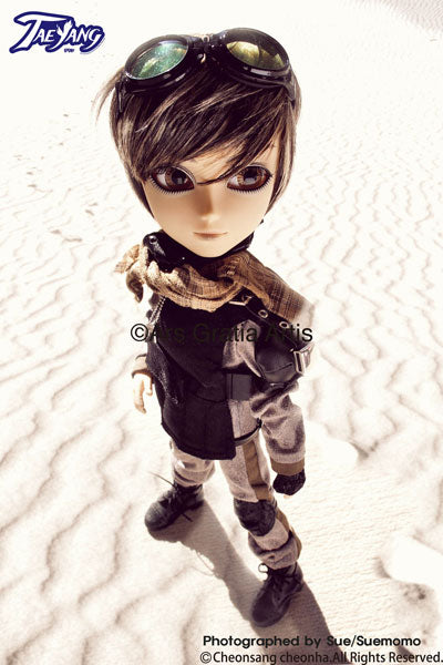 Pullip (Line) - TaeYang T-208 - Wayne - 1/6 (Groove) - Solaris Japan