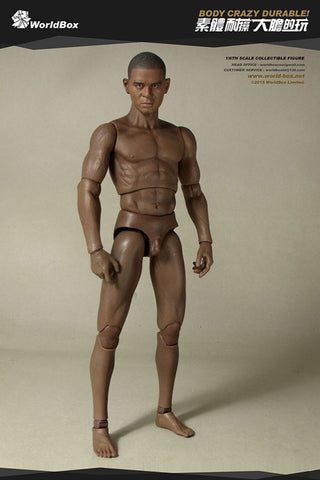 1/6 Male Body 2.0