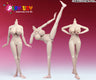 1/6 Female Doll Body 2.0 White XL Bust