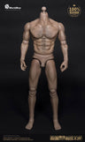 1/6 Male Body Thick Chest & Broad Shoulder