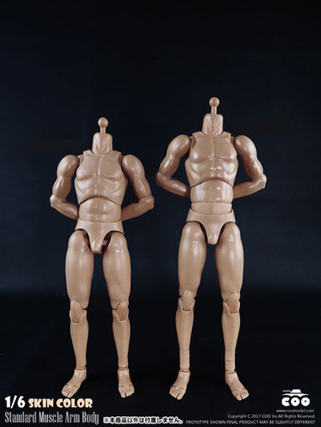 1/6 Male Body Standard Muscle Arm Tall