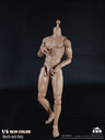 1/6 Male Body Muscle