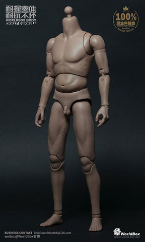 1/6 Male Doll Body Middle-aged Body