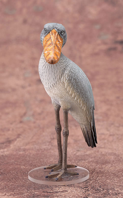 その他 shoebill DokiDoki Animal Series - Hashibirokou (shoebill) - Solaris Japan