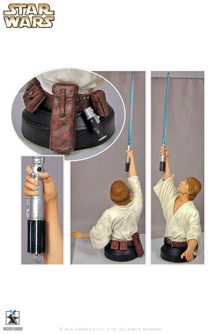 Star Wars - Mini Bust: Luke Skywalker (Farm Boy)