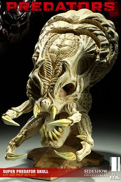 Predators - 1/1 Scale Prop Replica: Super Predator Skull - Solaris