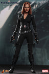 Movie Masterpiece 1/6 Scale Fully Poseable Figure "Captain America / The Winter Soldier" Black Widow