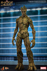 Movie Masterpiece - Guardians of the Galaxy 1/6 Scale Figure: Groot
