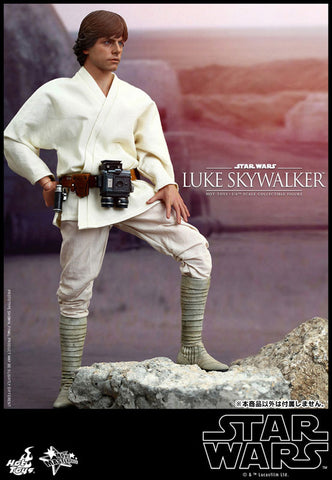 Movie Masterpiece "Star Wars EP4" 1/6 Luke Skywalker