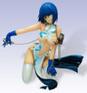 Ikkitousen Dragon Destiny - Shimei Ryomou -DVD BOX Edition Damage Chinese Dress Ver.-