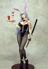 Ikki Tousen Xtreme Xecutor - Chouun Shiryuu - 1/6 - Bunny Girl ver. (Amie-Grand)