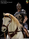 1/6 War Horse White Horse for General