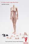 1/6 Scale Female Body Large Bust Ver.3.0 (FX01-D)