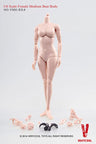 1/6 Scale Female Doll Body Middle Bust Ver.3.0 (FX02-D)