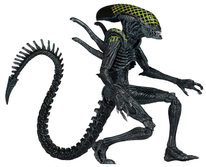 Alien - 7 Inch Action Figure Series 7: 2Type Set - Solaris Japan