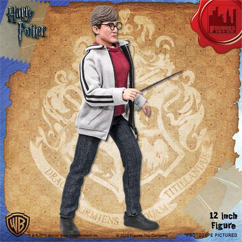 Harry Potter - Retro 12 Inch Action Figure Series 1: 3Type Set