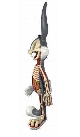 Looney Tunes - Anatomical Bugs Bunny Medium Figure