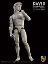 1/6 Action Statue David Marble-look