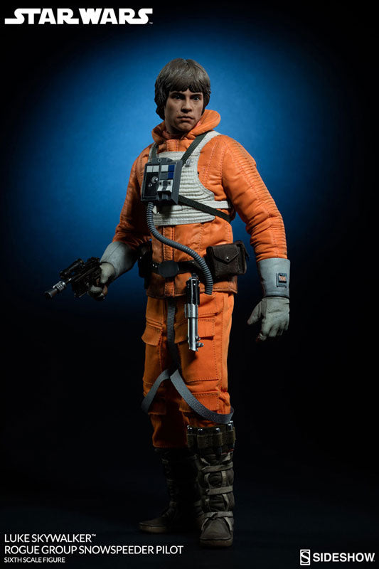 Star Wars 1/6 Heroes of Rebellion - Luke Skywalker (Snowspeeder