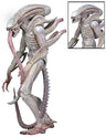 Alien - 7 Inch Action Figure Series 9: 3Type Set