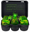 Alien - 7 Inch Alien Egg & Facehugger Collector Pack Glow-in-the-dark ver.