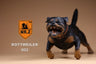 1/6 Rottweiler 002