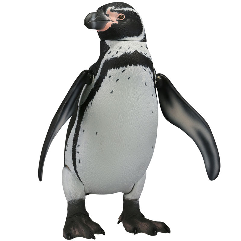 [専用出品] penguin1102 Soft Vinyl Toy Box 011 Spheniscus Humboldti - Solaris Japan