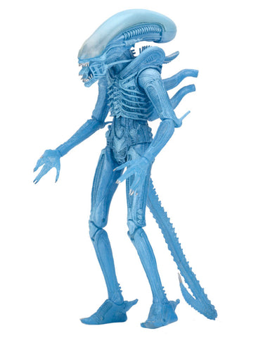 Alien - 7 Inch Action Figure Series 11: 2Type Set