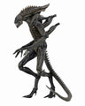 Alien - 7 Inch Action Figure Series 11: Alien Defiance