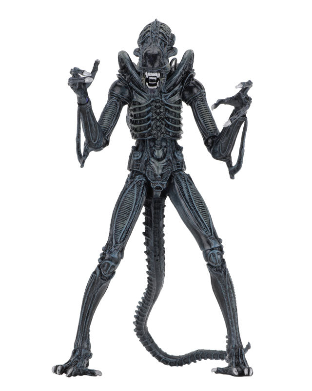 Alien - Alien Warrior Ultimate 7 Inch Action Figure: 2Type Set