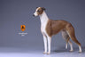 1/6 Greyhound 003