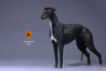 1/6 Greyhound 006
