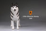 1/6 Siberian Husky 005