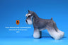 1/6 Miniature Schnauzer 001