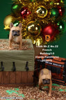 1/6 French Bulldog Statue 3.0 / Red