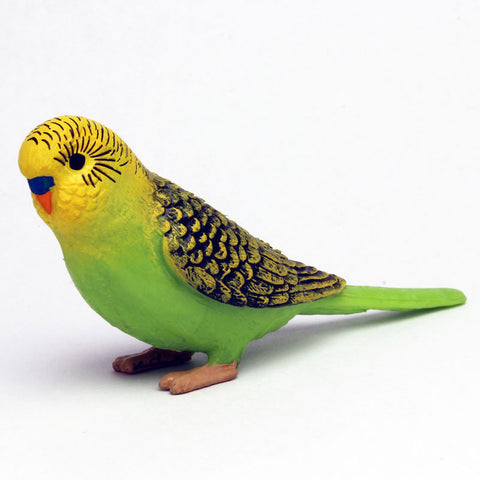 My Little Zoo -Bokuno Watashino Tenohira Doubutsuen- Budgie/Green