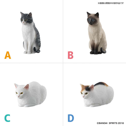 Original Character - Neko Busou - NekoBusou 2 Namimori A - Shirosaba (Bandai)