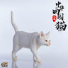 1/6 Chinese Cat B(Provisional Pre-order)