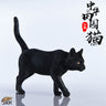 1/6 Chinese Cat D(Provisional Pre-order)